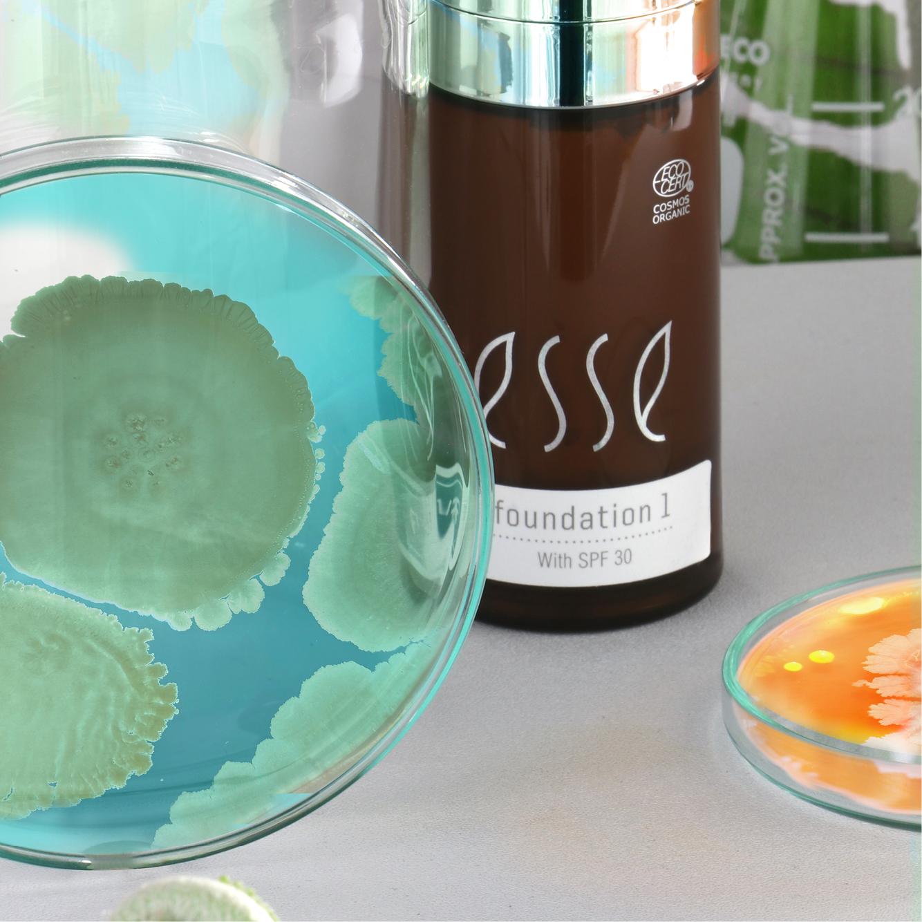 Image showing cosmetic science products, featuring a clear bottle labeled "foundation" and several Petri dishes displaying various colored microbial cultures: one with blue-green colonies, another with orange, and others with different colored growths.