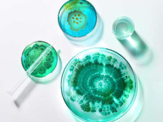 Petri dishes with vibrant green and blue swirling patterns of mold or bacterial cultures, embodying principles of green chemistry, are displayed on a white surface. A small glass vial and a pipette are positioned beside the dishes.