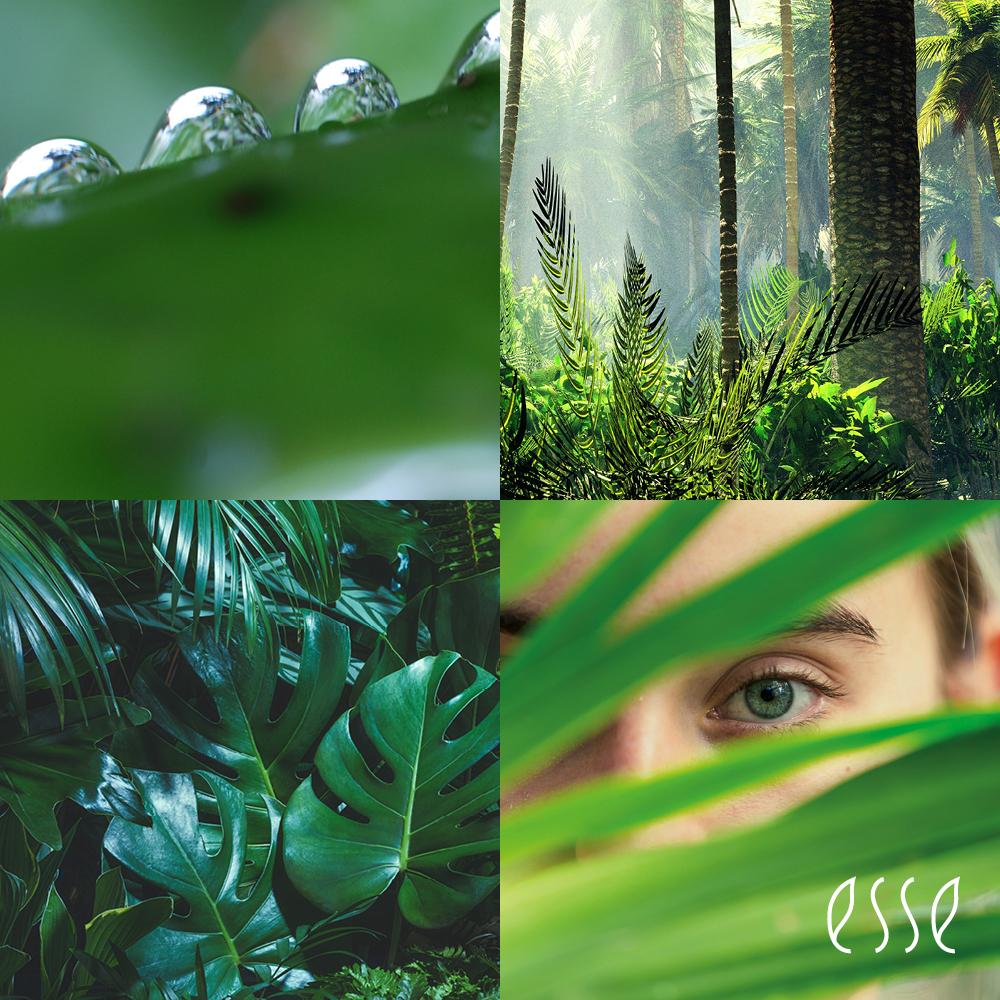 A collage of four images featuring close-ups of dew on leaves, sunlight filtering through lush rainforest foliage, a collection of vibrant green tropical leaves, and a person's eye peeking through leafy greenery. The word "Esse" appears in the bottom right corner.