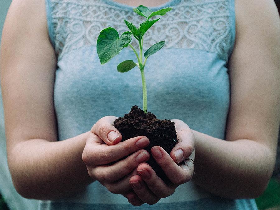 A person in a sleeveless, patterned top holds a small, green plant with soil in their hands. The background is blurred, focusing on the hands and the plant.
